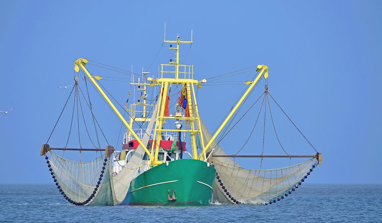 Gewerbliche Fischerei-Schlepper-768x449