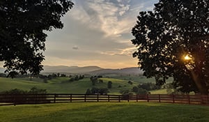 loc_shenandoah_tb